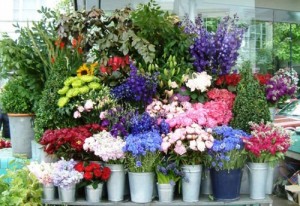 Flower_Shop_Main_Image_2-500x344